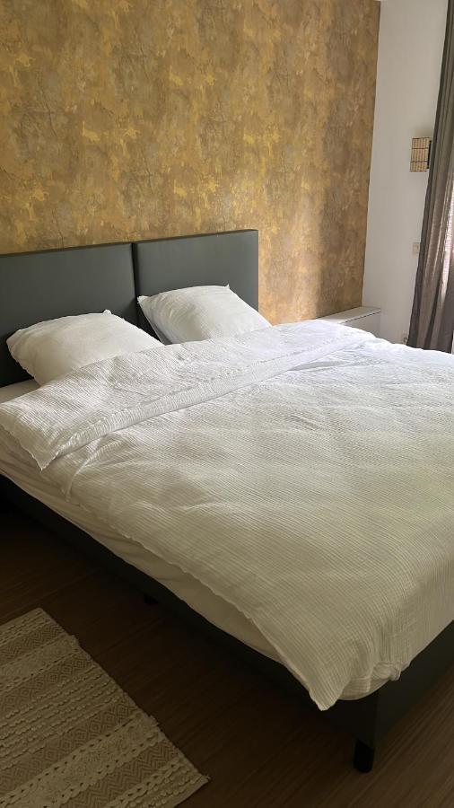Vakantiewoning Blijbos โอสท์คัมป์ ภายนอก รูปภาพ